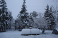 April Snow at Sirucek
