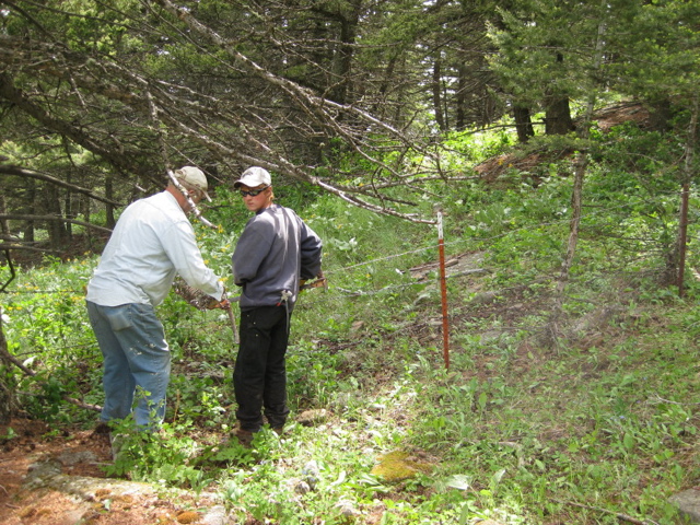 Will & Marv fencing in the mountains