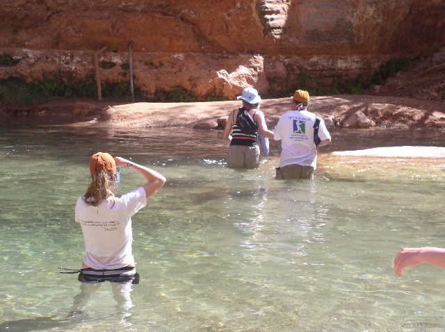 Havasu Creek 1