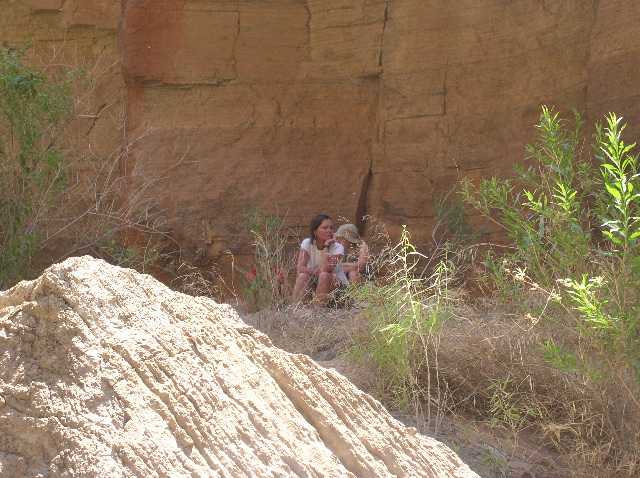 Havasu Creek 10